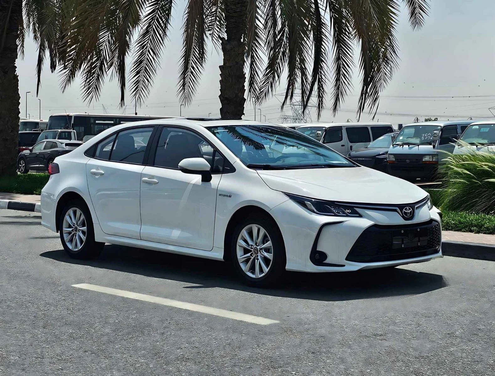 toyota corolla elite